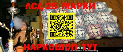 индика Будённовск