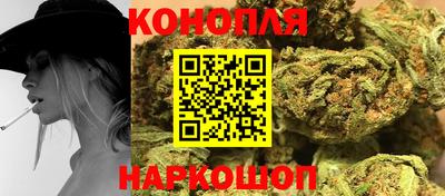 индика Будённовск