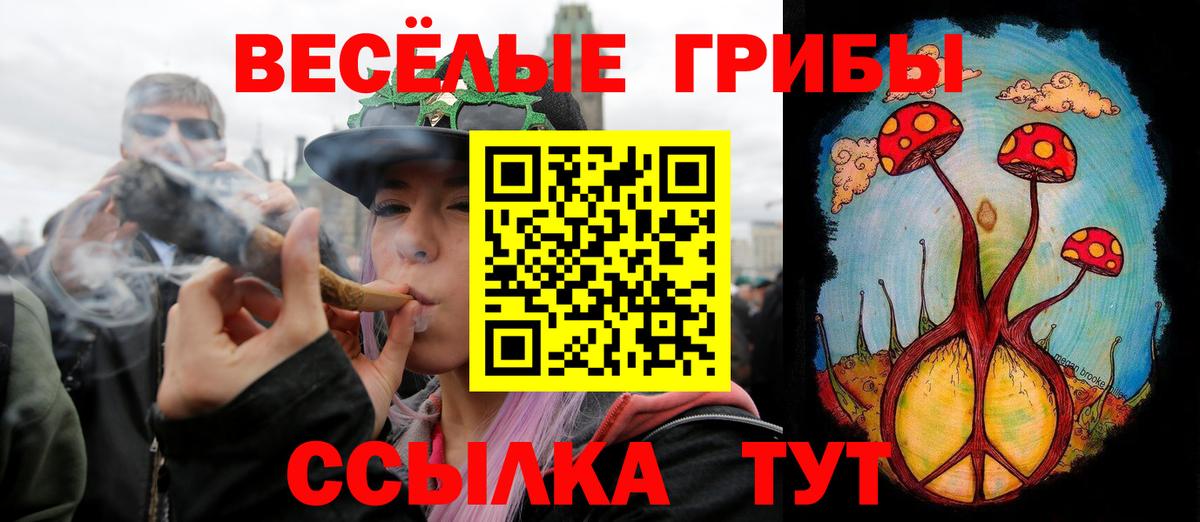 Псилоцибиновые грибы Cubensis Нефтекумск